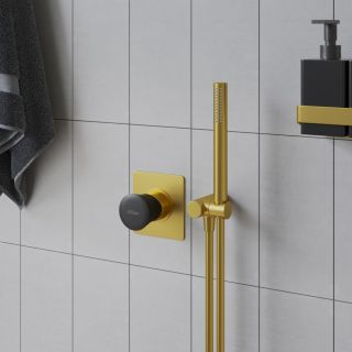 Встраиваемый смеситель для душа Paini Domus 18PJ690PZ матовое золото