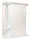 Шкаф-зеркало с подсветкой Onika Лилия 206012 правый 60см белый