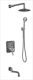 Душевая система скрытого монтажа Zorg Серия 100 A 104DS-SL