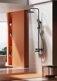 Душевая стойка Raglo R20.24.06 чёрный