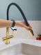 Смеситель для кухни с гибким изливом AltroBagno Flusso 050205 Or  золото