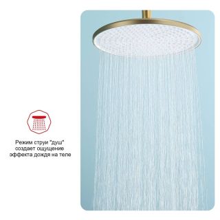 Верхний душ Raglo R451.50.03 25см золотой сатин