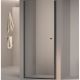 Душевая дверь RGW Dolphin TN-03B 800