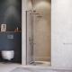 Душевая дверь RGW HO-014Gr 350601410-110 100см серый