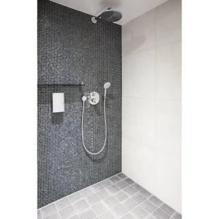 Лейка для душа Grohe Euphoria 27220000 хром