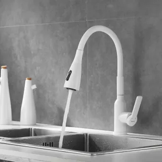 Смеситель для кухни Shevanik S843C-1 белый