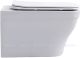 Унитаз подвесной Aquanet Elegant Rimless Elegant W LX-1163 Soft Close 280960 белый