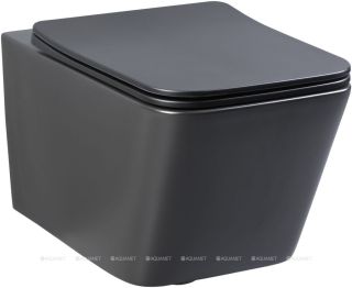 Унитаз подвесной Aquanet Rimless Tavr-W BL-103N-WHT black чёрный матовый