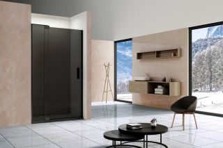 Душевая дверь Vincea Extra VDP-1E9010CGB 90/100 см