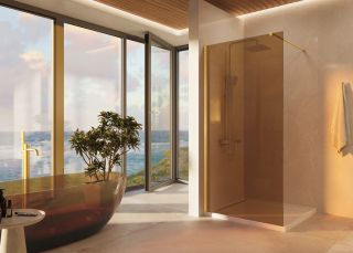 Душевая перегородка Vincea Walk-In VSW-1H100GSG, 1000*2000, матовый золотой, стекло янтарь