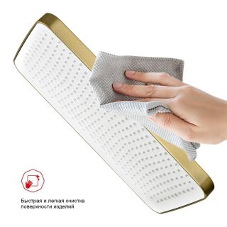 Верхний душ Raglo R451.52.03 34x22см золотой сатин