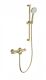 Смеситель для ванны с душевым гарнитуром Wonzon & Woghand WW-C2001-A-BG с термостатом брашированное золото